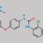 Sorafenib EP Impurity H CAS#: 1431697-81-2