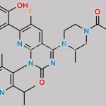 Sotorasib CAS#: 2296729-00-3
