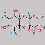 Spectinomycin EP Impurity C CAS#: 63393-23-7