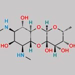 Spectinomycin EP Impurity D CAS#: 935756-69-7
