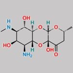 Spectinomycin EP Impurity E CAS#: 88270-91-1