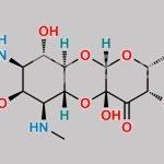 Spectinomycin EP Impurity G CAS#: 1323437-07-5