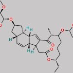 Spinosyn K CAS#: 159195-00-3
