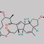 Spinosyn L CAS#: 149092-01-3