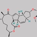 Spinosyn Y CAS#: 159195-06-9