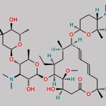 Spiramycin EP Impurity E CAS#: 177584-14-4