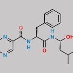 (S,R)-Bortezomib Hydroxyisopentyl Amide Analog CAS#: 289472-78-2