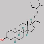 Stigmastanol CAS#: 83-45-4
