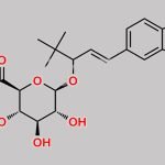 Stiripentol Glucuronide CAS#: 88902-06-1