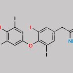 T4-Acetamide CAS#: 176258-88-1