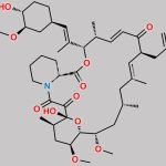 Tacrolimus Dehydro Impurity CAS#: 129212-37-9