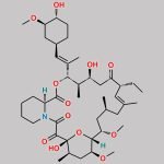 Tacrolimus EP Impurity A CAS#: 104987-12-4