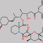 Tacrolimus EP Impurity C CAS#: N/A