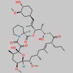 Tacrolimus EP Impurity E CAS#: 104987-30-6