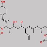 Tacrolimus EP Impurity H CAS#: 143210-33-7