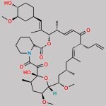 Tacrolimus EP Impurity I CAS#: 104987-16-8
