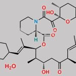 Tacrolimus Hydrate CAS#: 109581-93-3