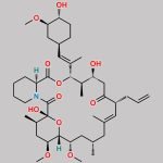 Tacrolimus Impurity 1 CAS#: 123719-19-7