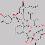 Tacrolimus Impurity 10 CAS#: 157141-17-8