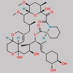 Tacrolimus Impurity 12 CAS#: 160892-64-8