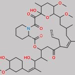 Tacrolimus Lactone Isomer CAS#: 134590-88-8