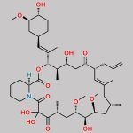 Tacrolimus Open Ring Impurity (USP) CAS#: 144432-23-5