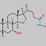 Taurochenodeoxycholic Acid CAS#: 516-35-8