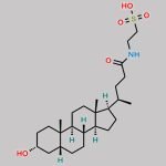 Taurolithocholic Acid CAS#: 516-90-5