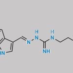 Tegaserod CAS#: 145158-71-0