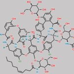 Teicoplanin A2-1 CAS#: 91032-34-7