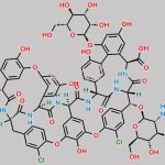 Teicoplanin A3-1 CAS#: 93616-27-4