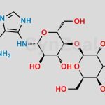 Temozolomide Impurity 2 CAS#: N/A