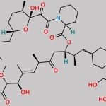 Temsirolimus CAS#: 162635-04-3