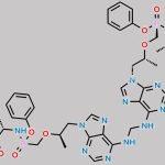 Tenofovir Alafenamide Dimer Impurity 1 CAS#: N/A