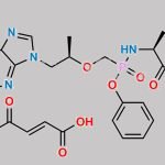 Tenofovir Alafenamide Fumarate CAS#: 379270-38-9