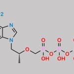 Tenofovir Diphosphate CAS#: 166403-66-3