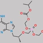 Tenofovir Disoproxil Carbamate (Related Compound H) CAS#: 1244022-54-5