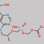 Tenofovir Disoproxil Fumarate Impurity(N6-CH2OH-POC PMPA) CAS#: 1244022-55-6