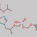 Tenofovir Disoproxil Fumarate IP Impurity E CAS#: 1244022-56-7
