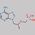 Tenofovir Hydrate CAS#: 206184-49-8