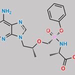 Tenofovir Methyl Ester CAS#: 390409-27-5