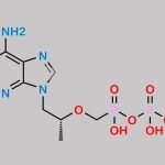Tenofovir monophosphate CAS#: 206646-04-0