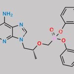 Tenofovir Related Compound 1 CAS#: 342631-41-8