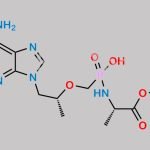 Tenofovir Related Compound 4 CAS#: 851456-00-3