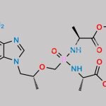 Tenofovir Related Compound 8 CAS#: 1883563-86-7