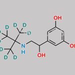 Terbutaline D9 CAS#: 1189658-09-0
