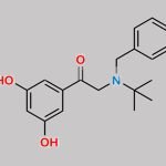 Terbutaline EP Impurity D CAS#: 94109-61-2