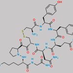 Terlipressin EP Impurity C CAS#: N/A