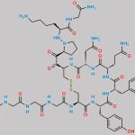 Terlipressin EP Impurity D CAS#: N/A