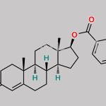Testosterone Benzoate CAS#: 2088-71-3
